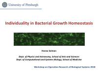 individuality in bacterial growth homeostasis