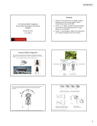 10/26/2011  Reading 1. Craspe, T. B. and Sommer, M. A. (2008). Corollary discharge across the