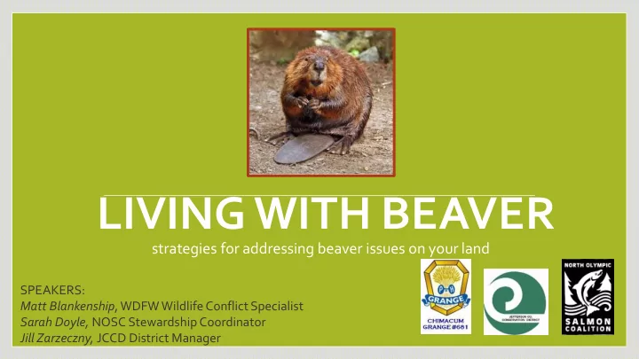 living with beaver