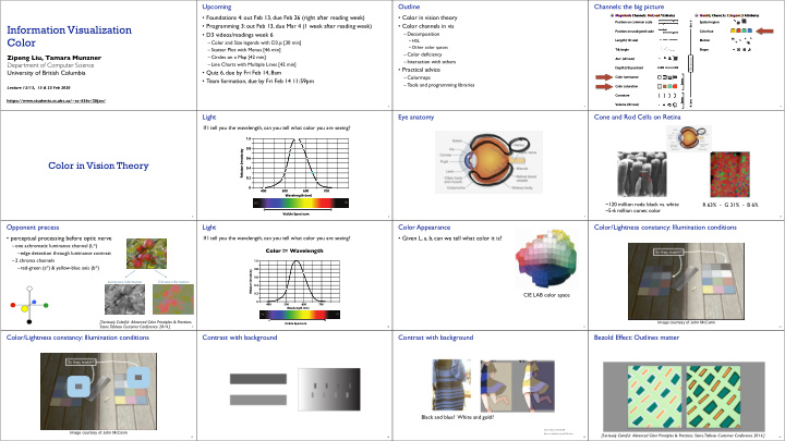 information visualization