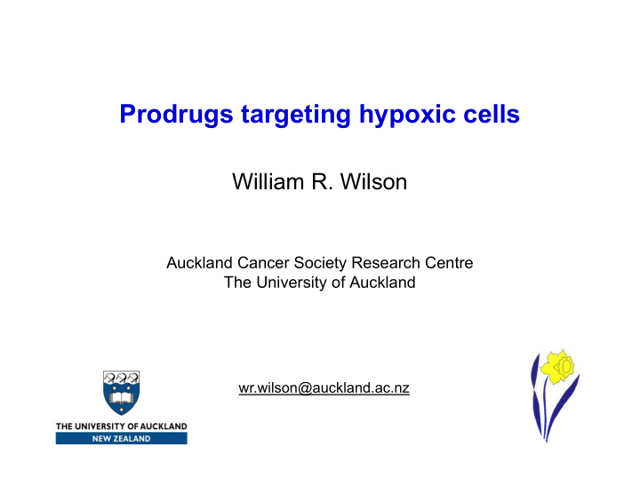 prodrugs targeting hypoxic cells