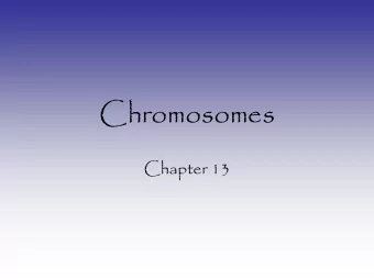Chromosomes  Chapter 13  What is a Chromosome?   Chromosome is the highly condensed  form of DNA