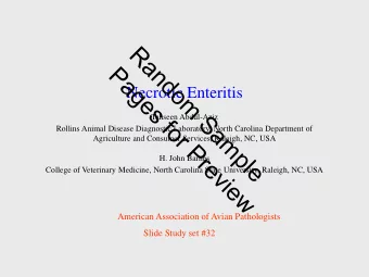 R  a  P  n  d  a  o  g  Necrotic Enteritis  m  e  s  S  Tahseen Abdul-Aziz  f  o  a  Rollins Animal