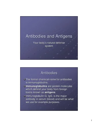 Antibodies and Antigens  Antibodies and Antigens  Your body  s natural defense  s natural