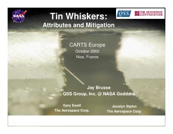 Tin Whiskers:  Attributes and Mitigation  CARTS Europe  October 2002  Nice, France  Jay Brusse  QSS