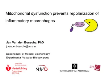 Mitochondrial dysfunction prevents repolarization of  inflammatory macrophages  Jan Van den