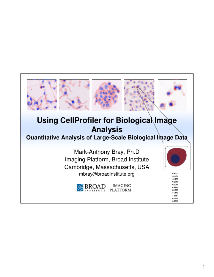 using cellprofiler for biological image analysis