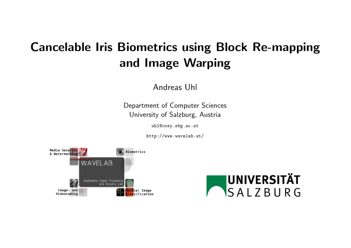 cancelable iris biometrics using block re mapping and