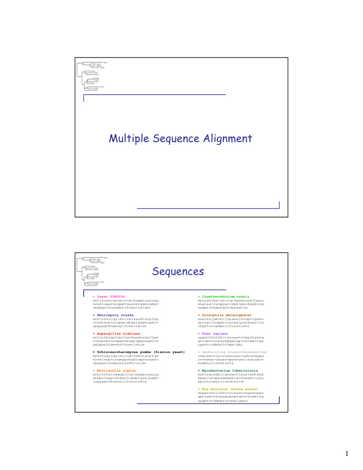 multiple sequence alignment sequences