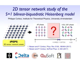 ?   iPEPS    0 0 . 189(2) 0 . 217(4) 0 . 25  2D tensor network ansatz  I. Niesen and P. Corboz,