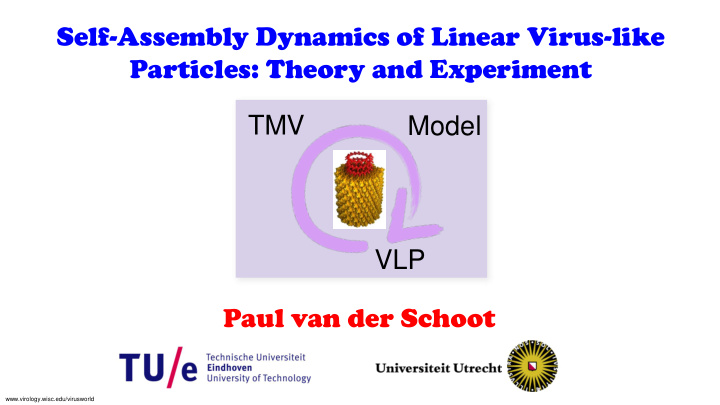 self assembly dynamics of linear virus like