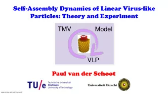 Self-Assembly Dynamics of Linear Virus-like  Particles: Theory and Experiment  TMV  Model  200 nm