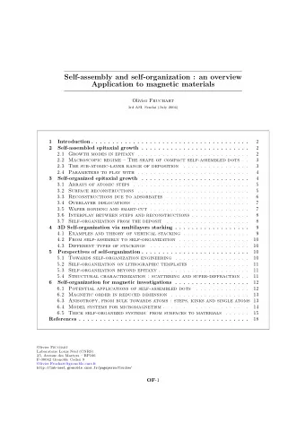 Self-assembly and self-organization : an overview  Application to magnetic materials Olivier