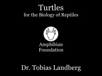 Turtles  for the Biology of Reptiles  Amphibian  Foundation  Dr. Tobias Landberg  The Flexible