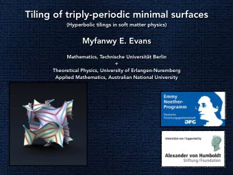 Tiling of triply-periodic minimal surfaces  (Hyperbolic tilings in soft matter physics) Myfanwy E.