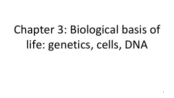 Chapter 3: Biological basis of  life: genetics, cells, DNA  1  Types of eukaryotic cells Somatic