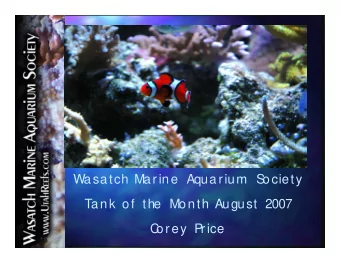 Wasatch Marine Aquarium  S  ociety  Tank of the Month August 2007  C  orey P  rice  Owner: Corey
