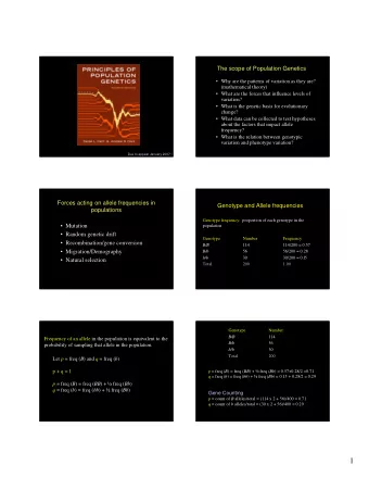 1  Hardy-Weinberg Principle  Assumptions of Hardy Weinberg For two alleles of an autosomal gene, B
