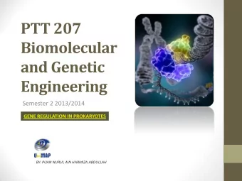 PTT 207  Biomolecular  and Genetic  Engineering  Semester 2 2013/2014  BY: PUAN NURUL AIN HARMIZA