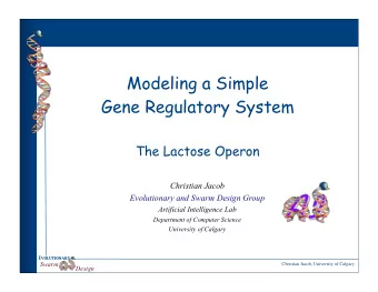Modeling a Simple  Gene Regulatory System  The Lactose Operon  Christian Jacob  Evolutionary and