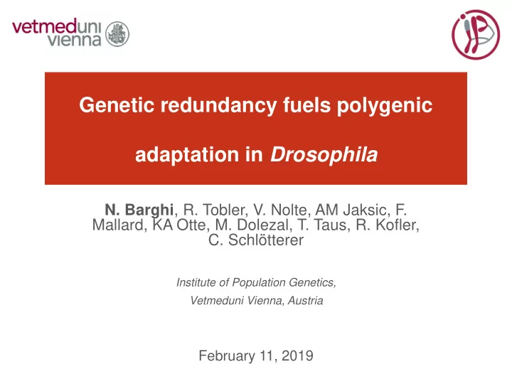 adaptation in drosophila