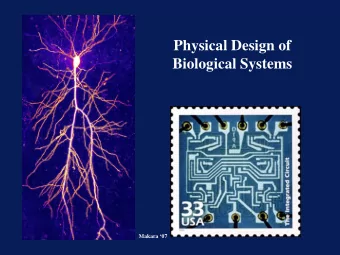 Physical Design of  Biological Systems  Makara 07  Overview  What is physical design?