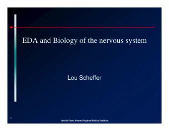 EDA and Biology of the nervous system  EDA and Biology of the nervous system  Lou Scheffer  1