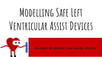 modelling safe left ventricular assist devices