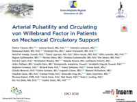 willebrand factor s multimerization in continuous