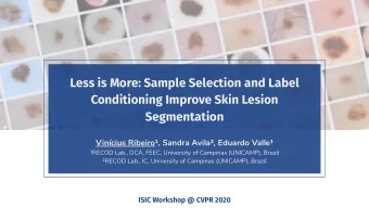 Less is More: Sample Selection and Label  Conditioning Improve Skin Lesion  Segmentation  Vincius