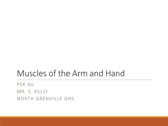 Muscles of the Arm and Hand  PSK 4U  MR. S. KELLY  NORTH GRENVILLE DHS  Biceps Brachii  Origin: