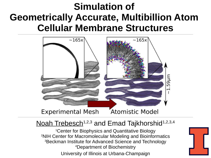 simulation of geometrically accurate multibillion atom