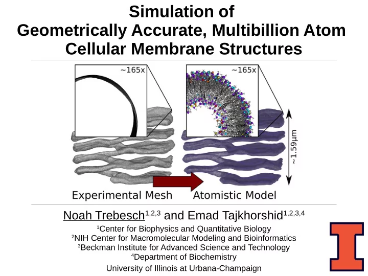 simulation of geometrically accurate multibillion atom