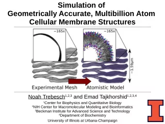 Simulation of  Geometrically Accurate, Multibillion Atom  Cellular Membrane Structures Noah