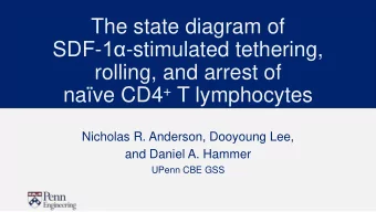 SDF- 1 -stimulated tethering,  rolling, and arrest of nave CD4 + T lymphocytes  Nicholas R.