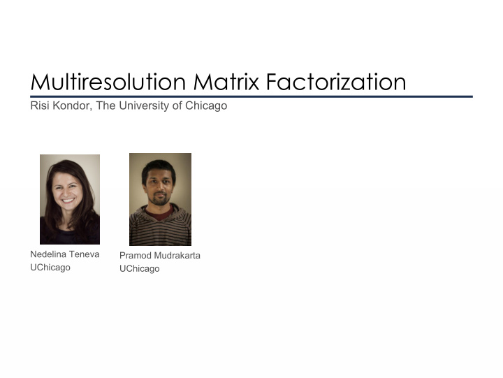 multiresolution matrix factorization