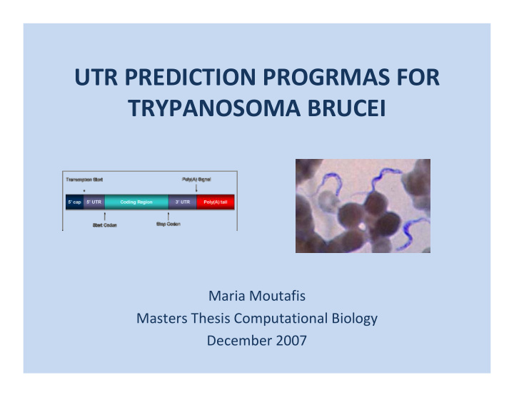 utr prediction progrmas for trypanosoma brucei