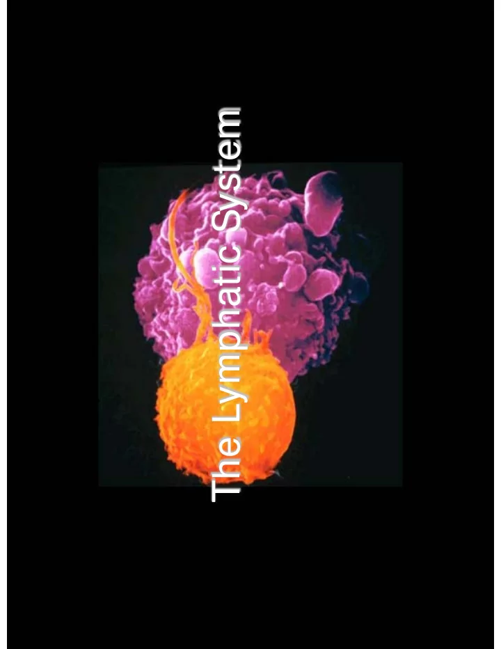 the lymphatic system the lymphatic systems