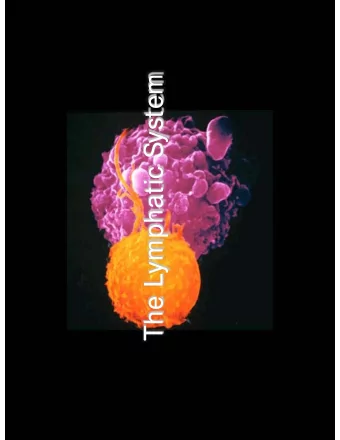 The Lymphatic System  The Lymphatic Systems  Overview  General Functions  Organization  Components