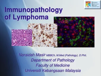Immunopathology  of Lymphoma Noraidah Masir MBBCh, M.Med (Pathology), D.Phil .  Department of