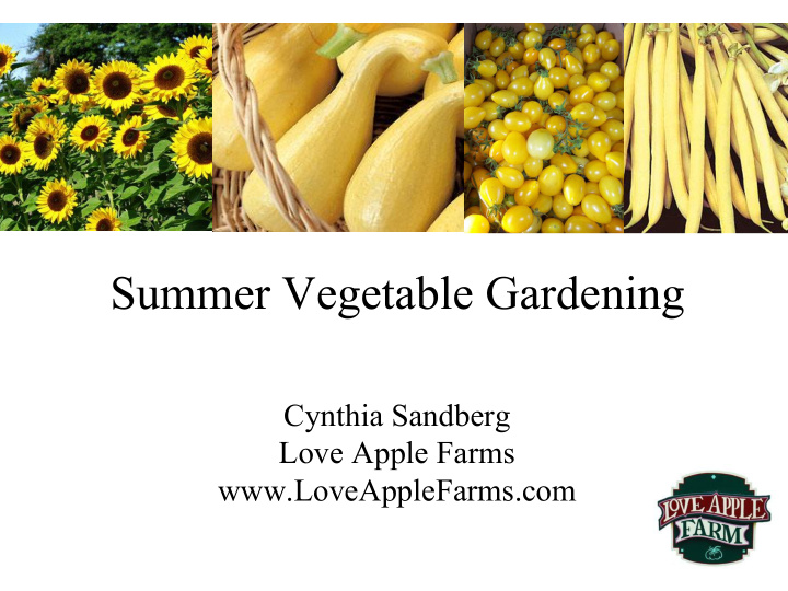 summer vegetable gardening