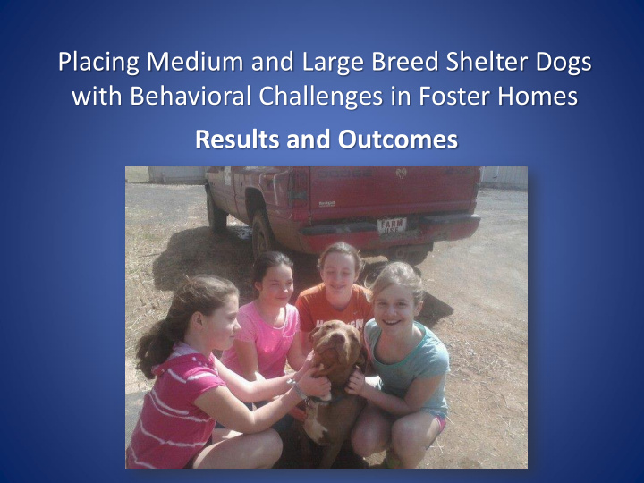 placing medium and large breed shelter dogs