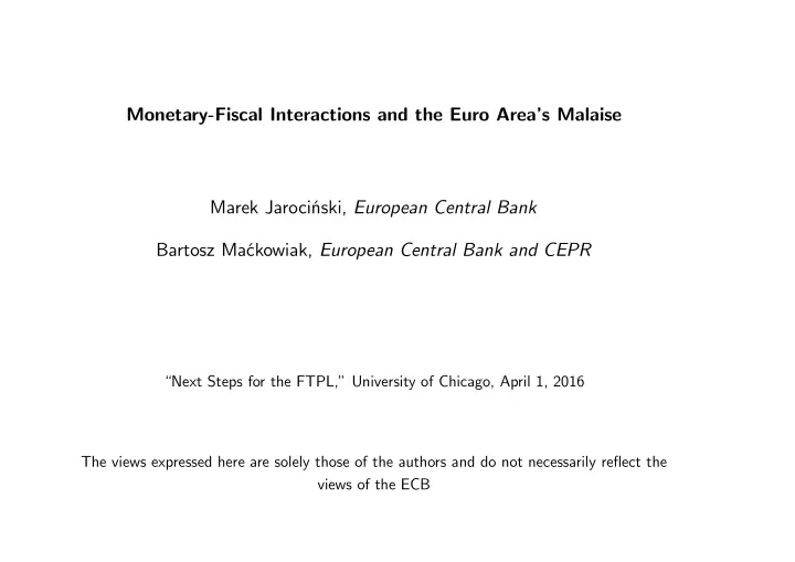 monetary fiscal interactions and the euro area s malaise