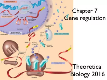 Theoretical  Biology 2016  Transcription factors  bind DNA  to block or enhance  transcription