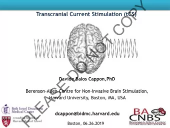 Y  P  Transcranial Current Stimulation (tCS)  O  C  T  O  N  O  D  E  Davide Balos Cappon,PhD  S