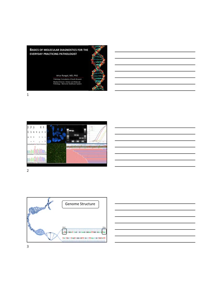 1 2 genome structure