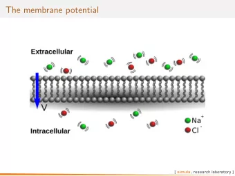 The membrane potential  Flow through a semi-permeable membrane  Consider two solutions: A: Contains