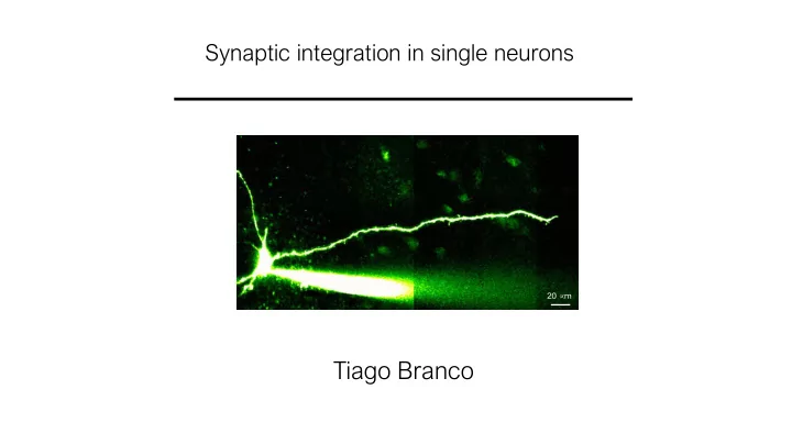 tiago branco model neuron molecules