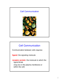 cell communication