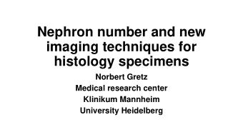 Nephron number and new  imaging techniques for  histology specimens  Norbert Gretz  Medical